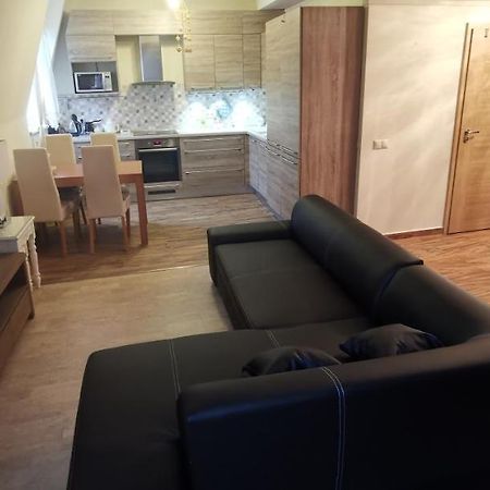 Hezky Byt U Hotela Thermal V Karlovych Varech Karlovy Vary Esterno foto
